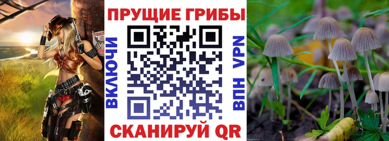 Псилоцибиновые грибы GOLDEN TEACHER  Комсомольск 